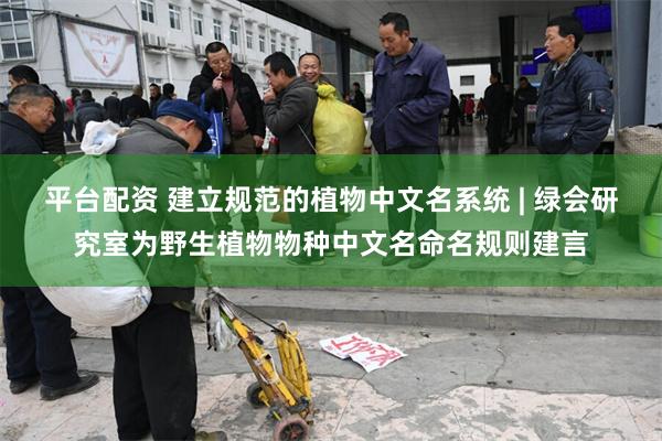 平台配资 建立规范的植物中文名系统 | 绿会研究室为野生植物物种中文名命名规则建言