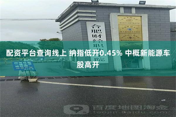 配资平台查询线上 纳指低开0.45% 中概新能源车股高开