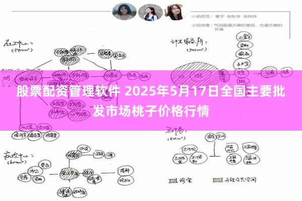 股票配资管理软件 2025年5月17日全国主要批发市场桃子价格行情