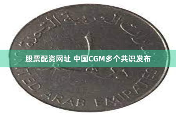 股票配资网址 中国CGM多个共识发布