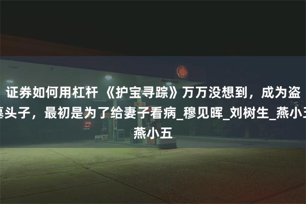证券如何用杠杆 《护宝寻踪》万万没想到，成为盗墓头子，最初是为了给妻子看病_穆见晖_刘树生_燕小五