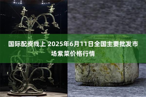 国际配资线上 2025年6月11日全国主要批发市场紫菜价格行情
