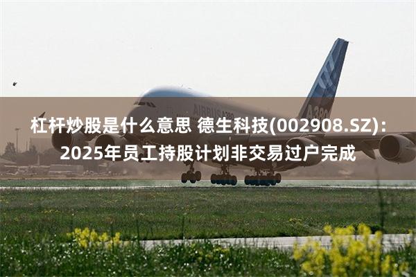 杠杆炒股是什么意思 德生科技(002908.SZ)：2025年员工持股计划非交易过户完成