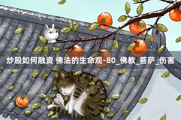 炒股如何融资 佛法的生命观-80_佛教_菩萨_伤害