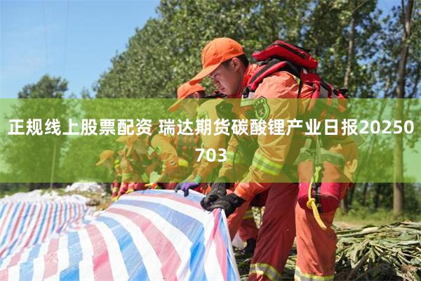 正规线上股票配资 瑞达期货碳酸锂产业日报20250703